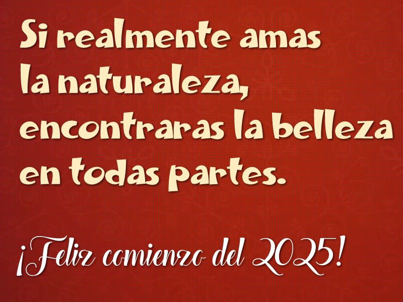 Imagen con cita: Si realmente amas la naturaleza, encontraras la belleza en todas partes.. Feliz año nuevo 2025.