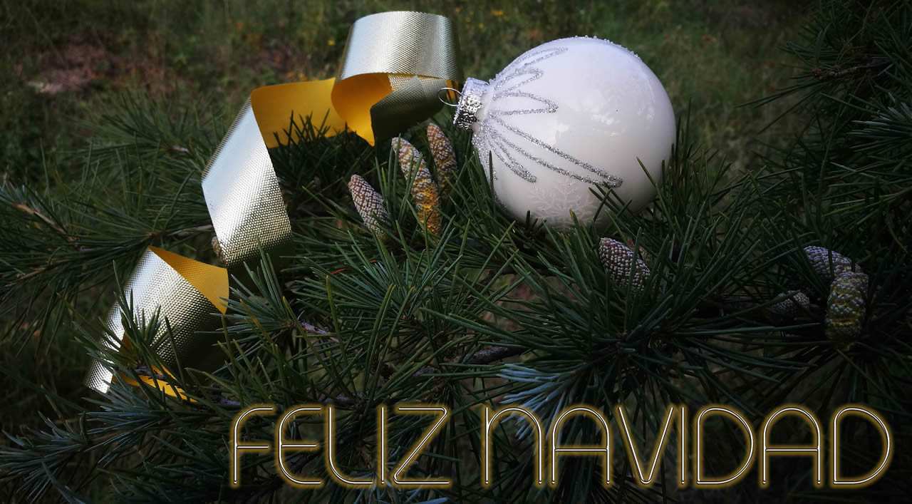 Foto con texto de Feliz Navidad con abeto y piñas