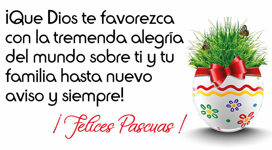 ¡Que Dios te favorezca con la tremenda alegría del mundo sobre ti y tu familia hasta nuevo aviso y siempre!