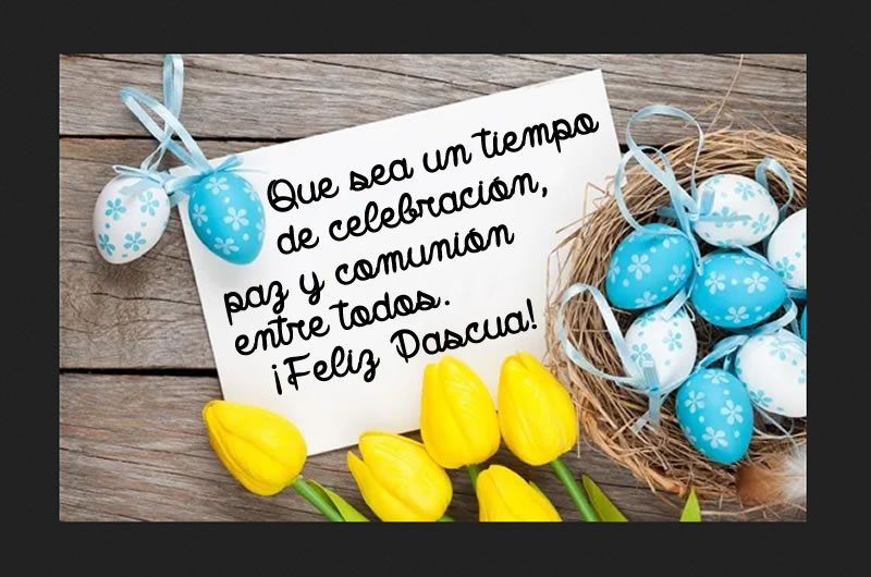 Imagen con tulipanes amarillos y huevos de Pascua con un deseo de felices fiestas: Que sea un tiempo de celebración, paz y comunión entre todos. ¡Feliz Pascua!