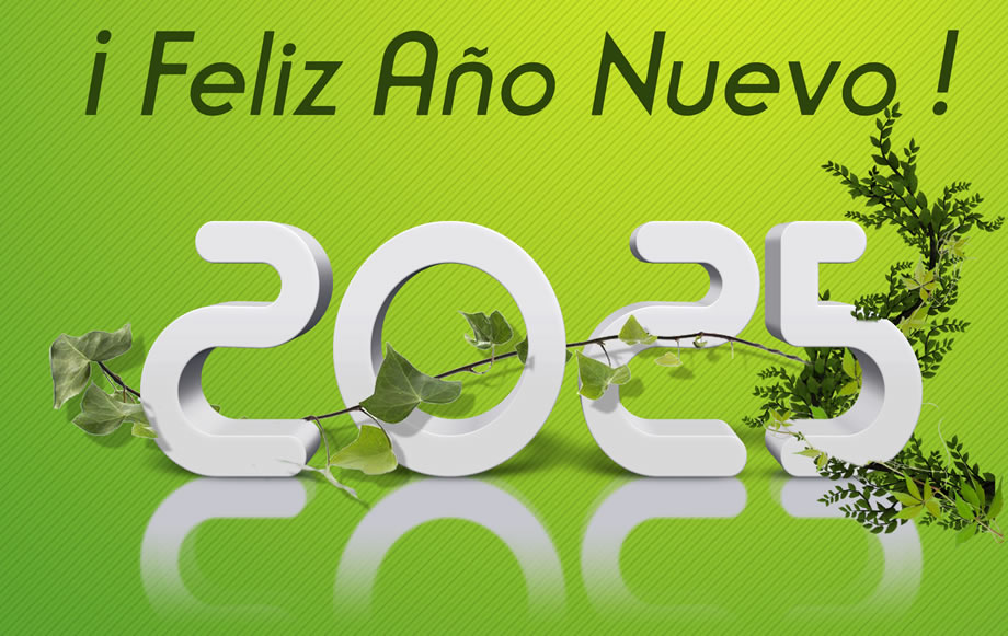 Imagen de fondo verde con texto 3D número 2025 con reductor