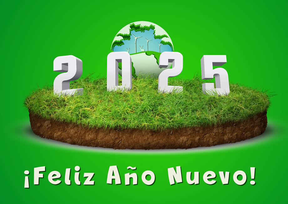 Imagen con texto en 3D desea 2025 y planeta verde con parques eólicos.