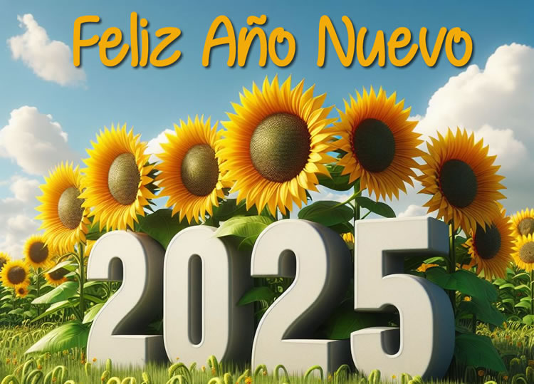 Saludos 2025 con planta de girasol