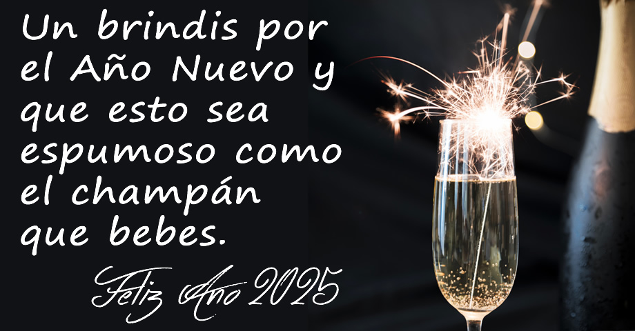 Imagen para celebrar el año nuevo y texto alegre de deseos: Un brindis por el Año Nuevo 2025 y que esto sea espumoso como el champán que bebes. ¡Feliz año nuevo!
