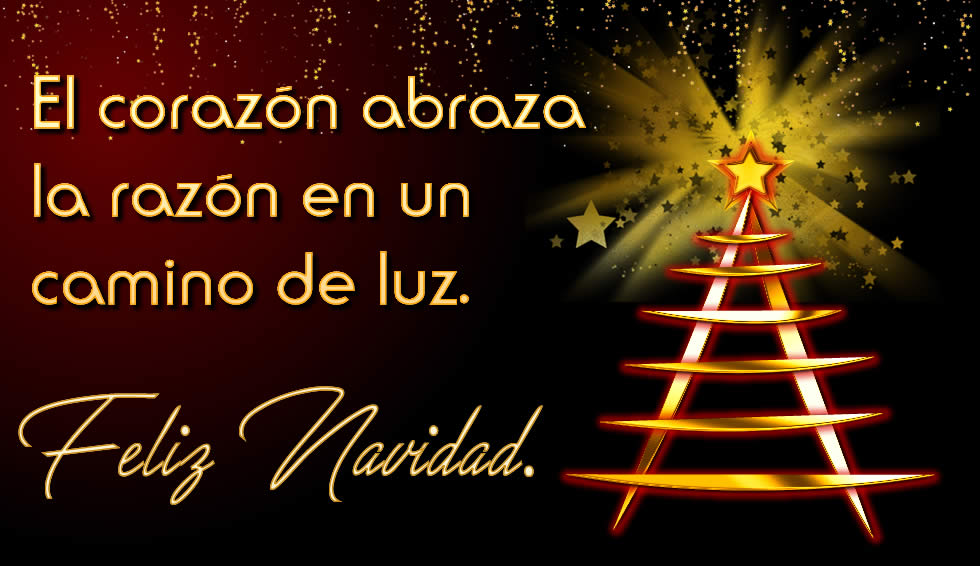 Imagen con brillante árbol de navidad y dedicación con texto.