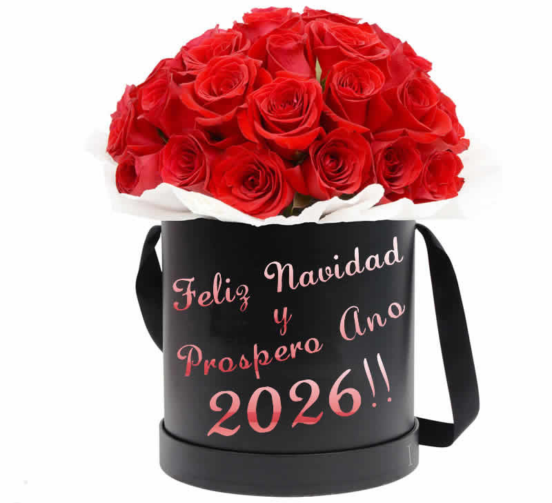 Imagen con un hermoso ramo de rosas rojas en un elegante paquete negro.