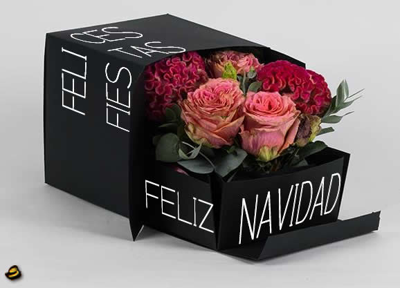 Imagen con rosas rojas para saludos románticos de Feliz Navidad