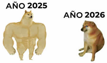 imágenes divertidas meme doge 2026