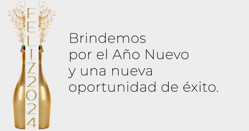 Imagen con texto: Brindemos por el nuevo año y una nueva oportunidad de éxito. FELIZ 2025